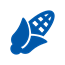 Graan