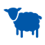 Wool
