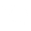 Wool