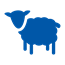 Fibre - Wool & Mohair
