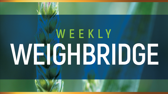 OVK Weighbridge 26 November 2019