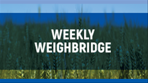 OVK Weighbridge 6 February 2020