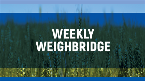 OVK Weighbridge 5 March 2020