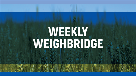 OVK Weighbridge, 2 July 2020